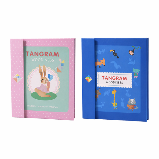 Magnetická logická hra pro rozvoj kreativity a myšlení